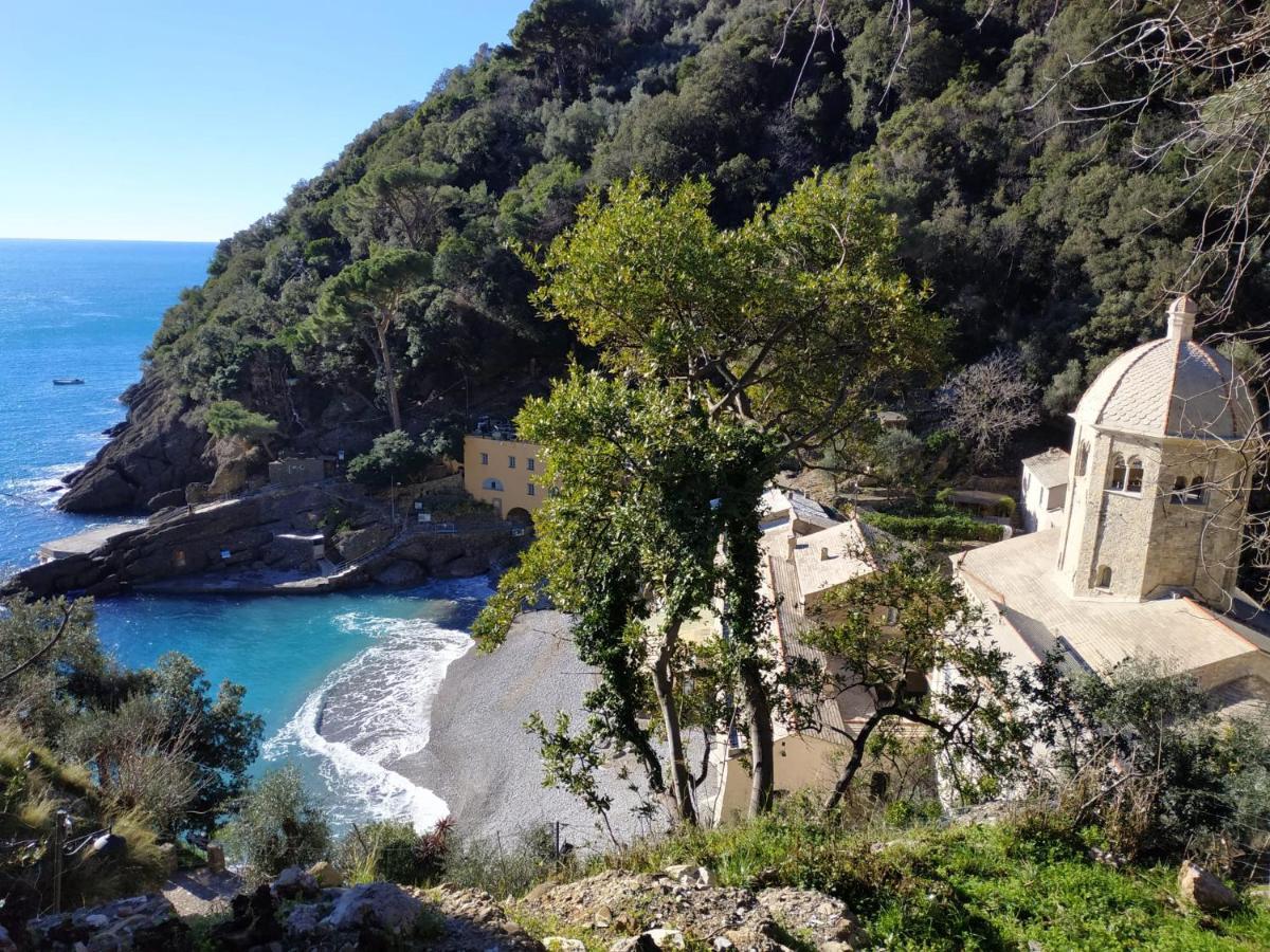 Casaviva - Magical Bilo In Camogli Apartment Luaran gambar